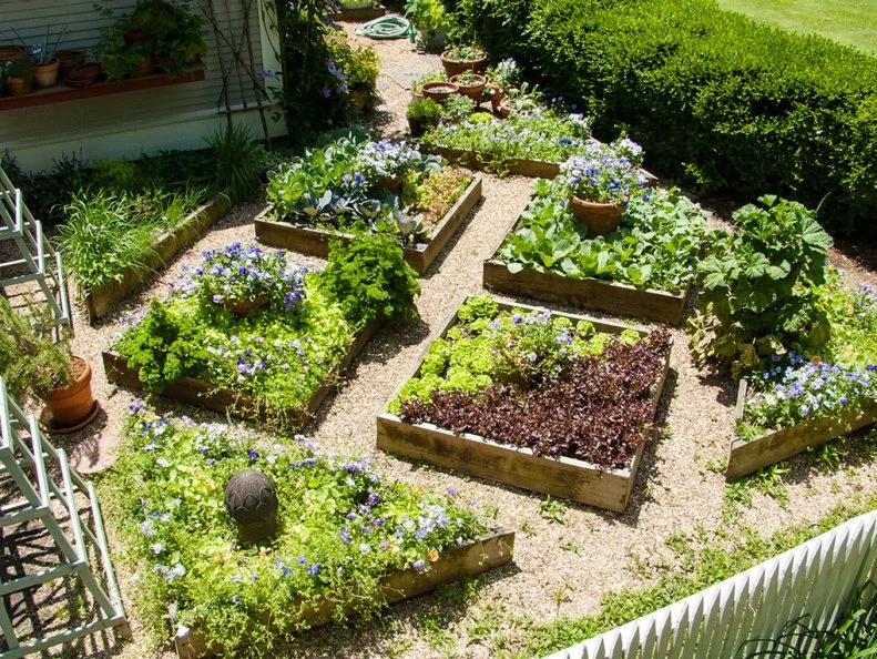 Elegant Potager Style Garden