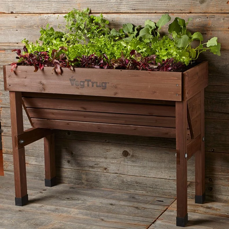 Built-In Trellis for Climbing Plants