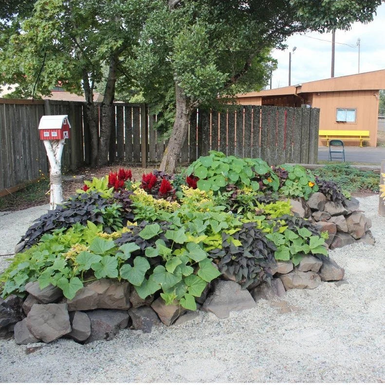 Rustic Wicker Garden Beds
