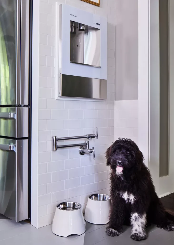 Pet-Friendly Features