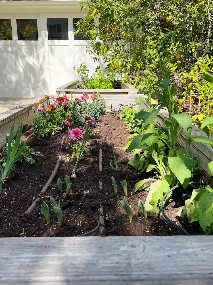 Raised Flower Beds