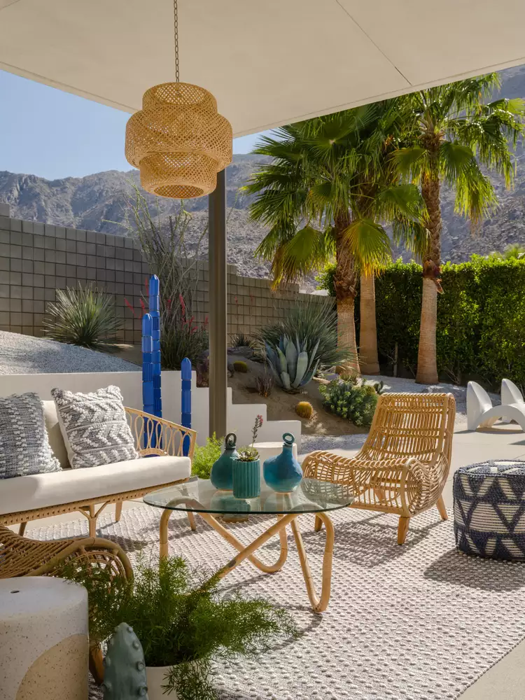 Cactus and Desert Blooms