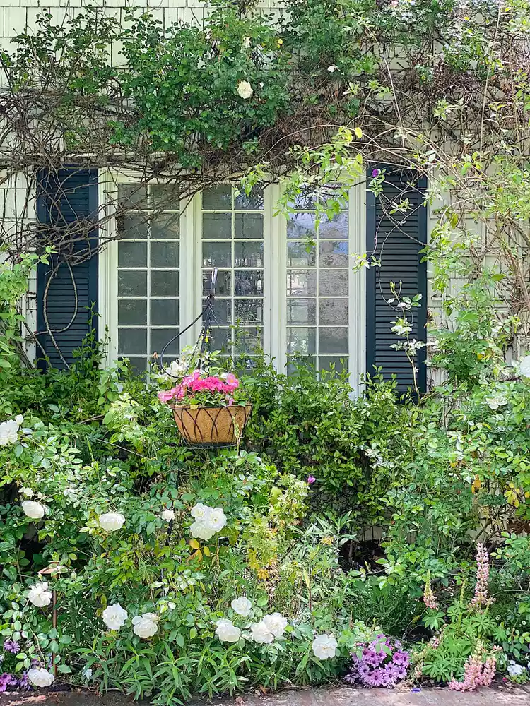 English Garden Charm