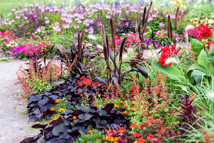 Textural Flower Garden