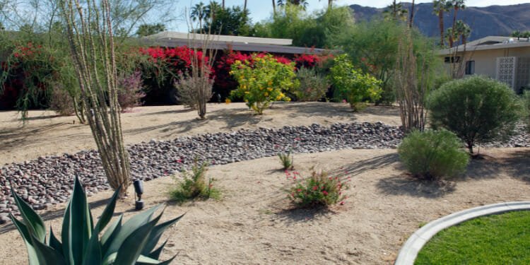 Rock Landscaping for Courtyards
