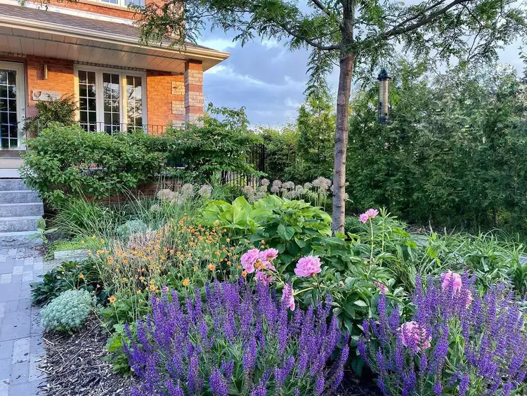 Front Yard Perennial Garden